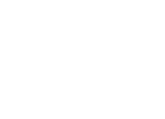 Salon XIII Logo